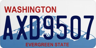 WA license plate AXD9507