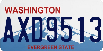 WA license plate AXD9513
