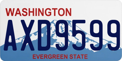 WA license plate AXD9599