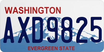 WA license plate AXD9825