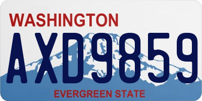 WA license plate AXD9859