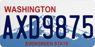 WA license plate AXD9875