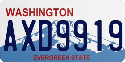 WA license plate AXD9919