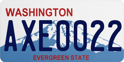 WA license plate AXE0022
