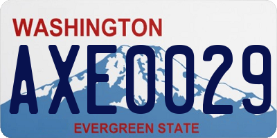 WA license plate AXE0029
