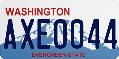 WA license plate AXE0044