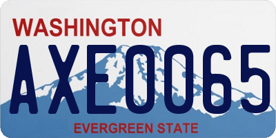 WA license plate AXE0065