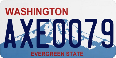 WA license plate AXE0079