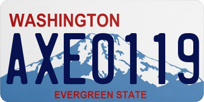 WA license plate AXE0119