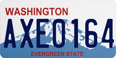 WA license plate AXE0164