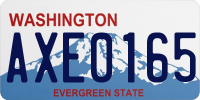 WA license plate AXE0165