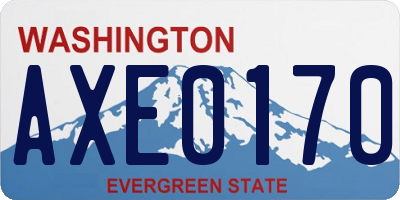 WA license plate AXE0170