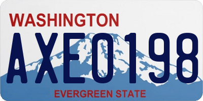 WA license plate AXE0198