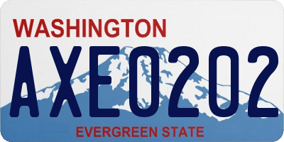 WA license plate AXE0202