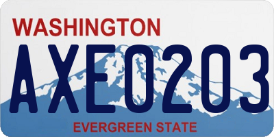 WA license plate AXE0203