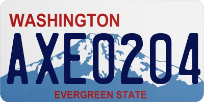 WA license plate AXE0204
