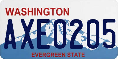 WA license plate AXE0205