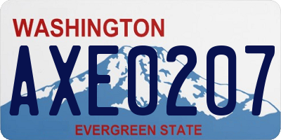 WA license plate AXE0207