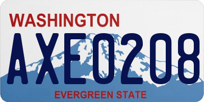 WA license plate AXE0208