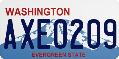 WA license plate AXE0209