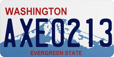 WA license plate AXE0213