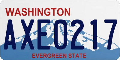 WA license plate AXE0217