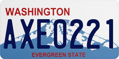 WA license plate AXE0221