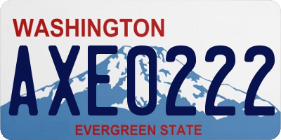 WA license plate AXE0222