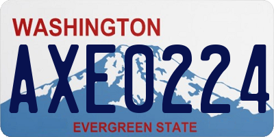 WA license plate AXE0224
