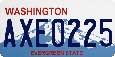 WA license plate AXE0225