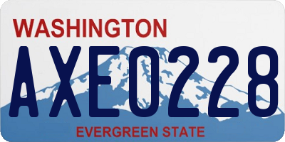 WA license plate AXE0228