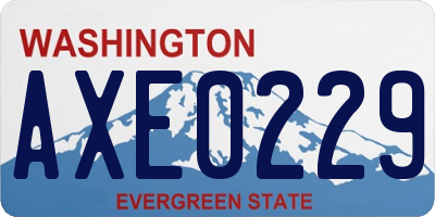 WA license plate AXE0229