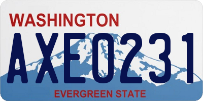 WA license plate AXE0231