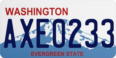 WA license plate AXE0233