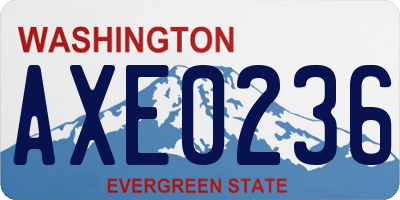 WA license plate AXE0236