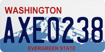 WA license plate AXE0238