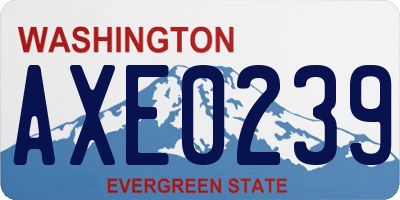 WA license plate AXE0239