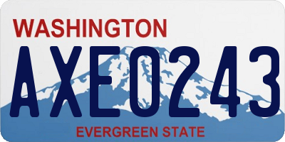 WA license plate AXE0243