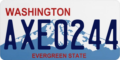 WA license plate AXE0244