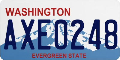 WA license plate AXE0248