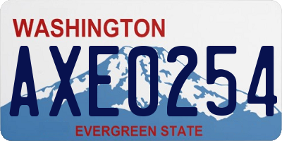WA license plate AXE0254