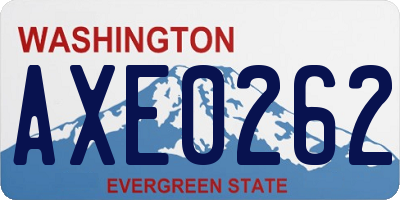 WA license plate AXE0262