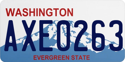 WA license plate AXE0263