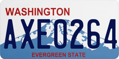 WA license plate AXE0264