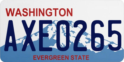 WA license plate AXE0265