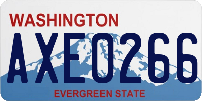 WA license plate AXE0266