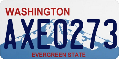 WA license plate AXE0273