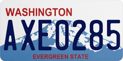 WA license plate AXE0285
