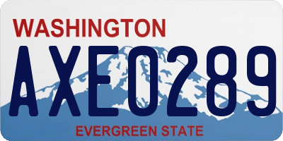 WA license plate AXE0289