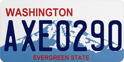 WA license plate AXE0290
